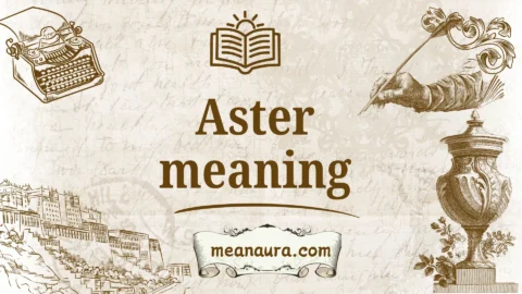 aster meaning