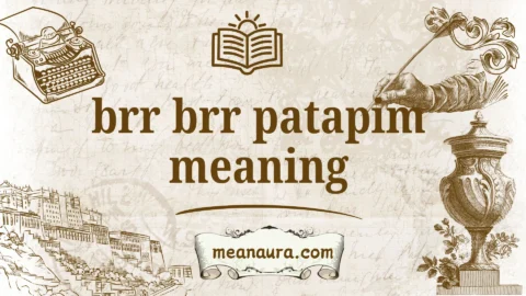 brr brr patapim meaning