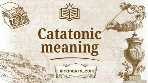 catatonic meaning