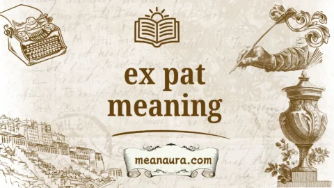 ex pat meaning