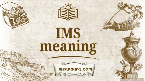 ims meaning