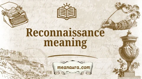 reconnaissance meaning