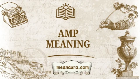 amp meaning