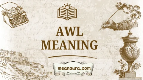awl meaning