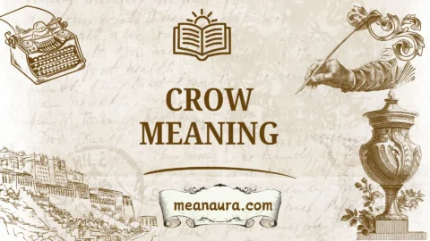 crow meaning