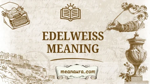 edelweiss meaning