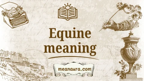 equine meaning