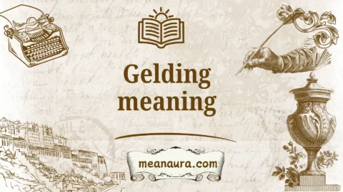 gelding meaning