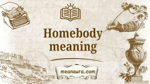 homebody meaning