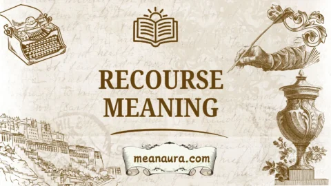 recourse meaning