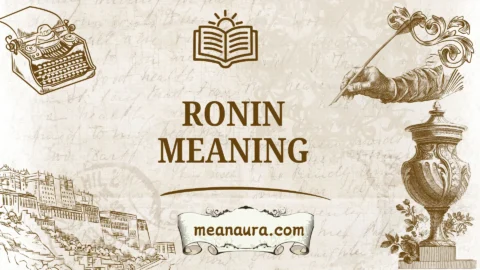 ronin meaning
