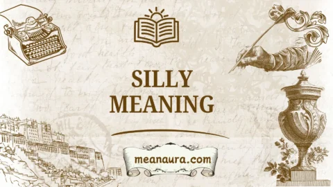 silly meaning