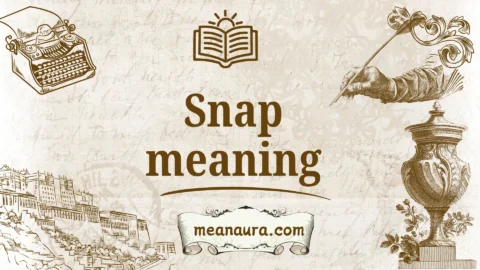 snap meaning