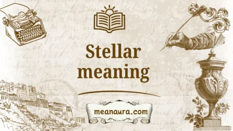 stellar meaning