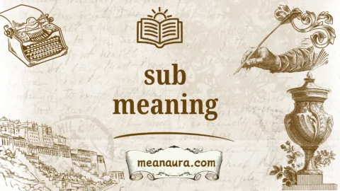 sub meaning