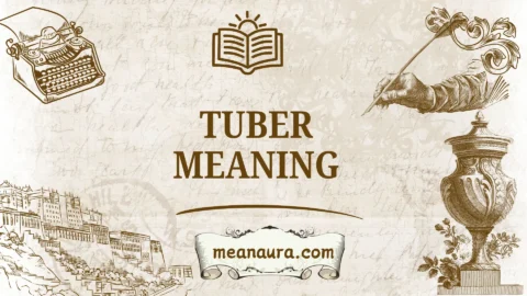 tuber meaning