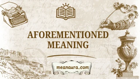 aforementioned meaning