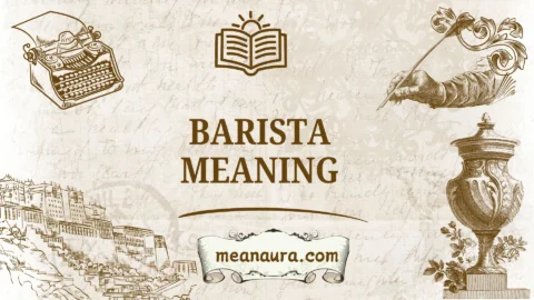 barista meaning