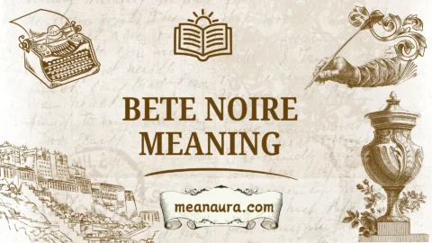 bete noire meaning