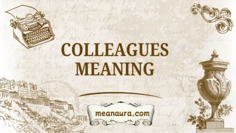colleagues meaning