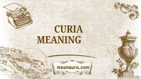 curia meaning