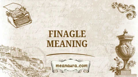 finagle meaning