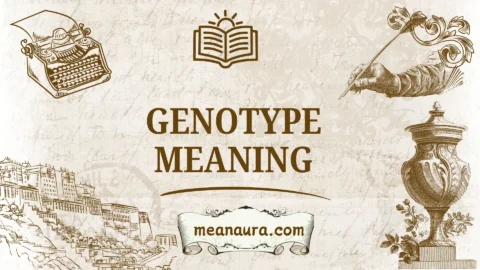 genotype meaning