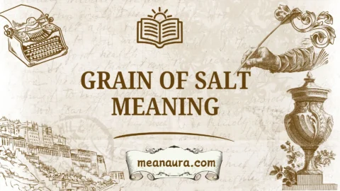 grain of salt meaning