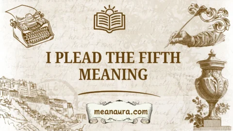 i plead the fifth meaning