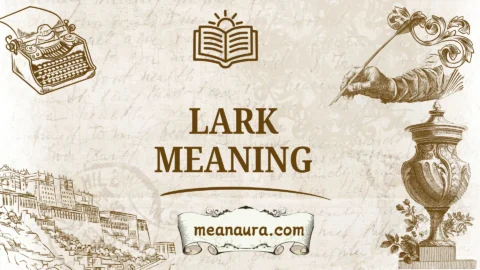 lark meaning