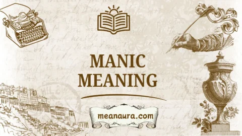 manic meaning