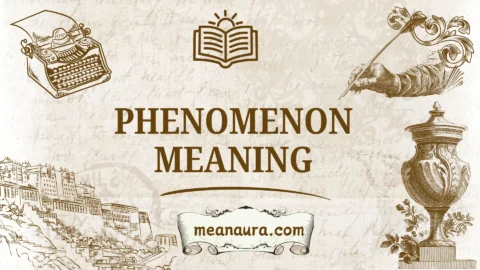 phenomenon meaning