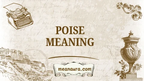poise meaning