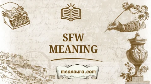 sfw meaning