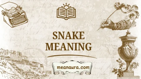 snake meaning