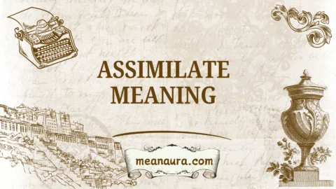 assimilate meaning