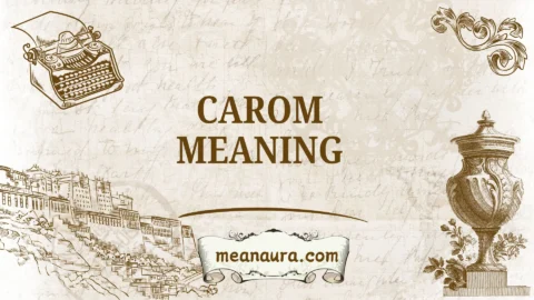 carom meaning