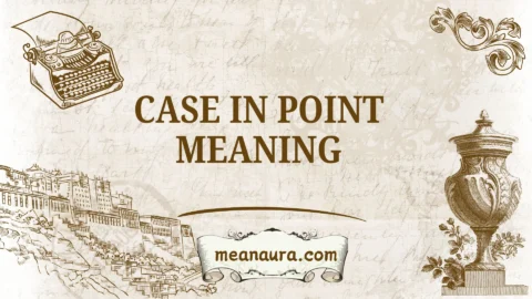case in point meaning