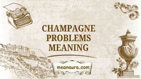 champagne problems meaning