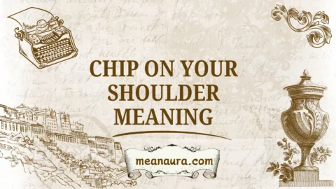 chip on your shoulder meaning