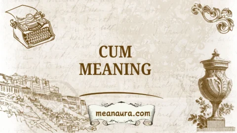cum meaning