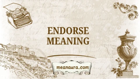 endorse meaning