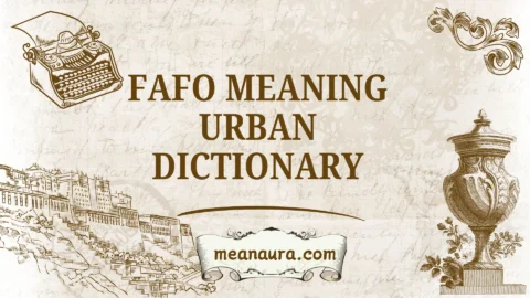 fafo meaning urban dictionary