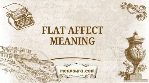 flat affect meaning