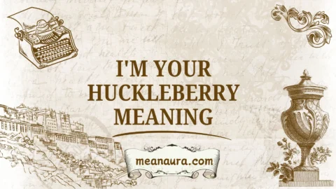 i'm your huckleberry meaning