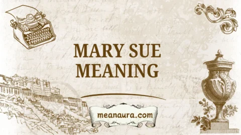 mary sue meaning