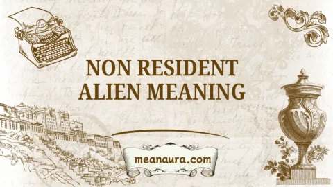 non resident alien meaning