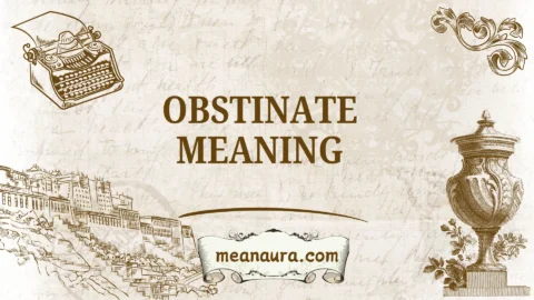 obstinate meaning