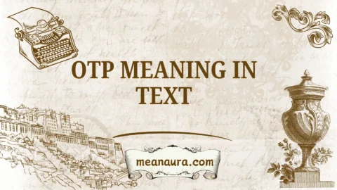 otp meaning in text