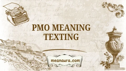 pmo meaning texting